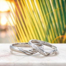 有限会社アクアヴェールのプレスリリース画像7