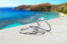 有限会社アクアヴェールのプレスリリース画像5