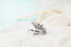 有限会社アクアヴェールのプレスリリース画像4