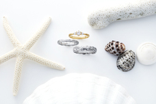 有限会社アクアヴェールのプレスリリース画像2