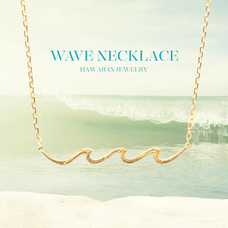 有限会社アクアヴェールのプレスリリース画像3