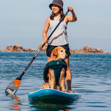 クロキ商事株式会社のプレスリリース画像1