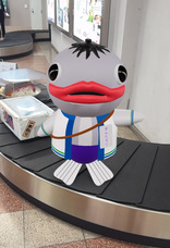 株式会社ブランド高知のプレスリリース画像7