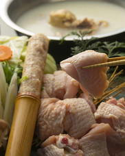 株式会社MMAサービスのプレスリリース画像5