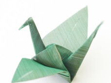 石川金網株式会社のプレスリリース画像4