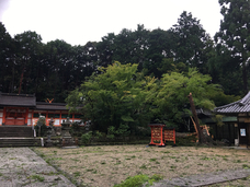 株式会社さわらぎのプレスリリース画像2