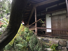 株式会社さわらぎのプレスリリース画像3