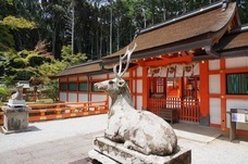 株式会社さわらぎのプレスリリース画像4