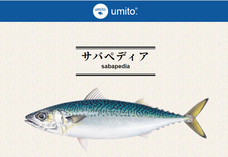 マルハニチロ株式会社のプレスリリース画像2