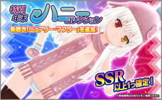 株式会社ＲＧＢのプレスリリース画像2