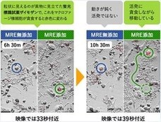 株式会社創健のプレスリリース画像1