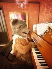 dappleのプレスリリース画像2