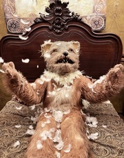 dappleのプレスリリース画像5