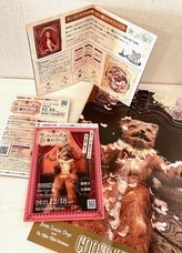 dappleのプレスリリース画像6