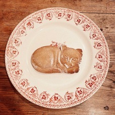 dappleのプレスリリース画像4