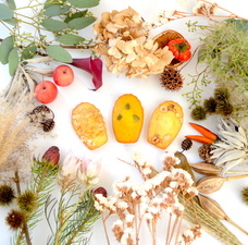 株式会社キルンのプレスリリース画像1