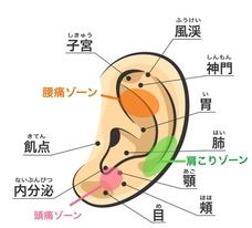 ピンクリボンアートプロジェクトのプレスリリース画像1