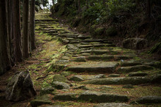 有限会社天女座のプレスリリース画像7