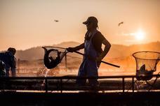 株式会社 フィッシャーマン・ジャパン・マーケティングのプレスリリース画像1