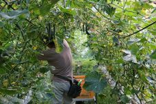 あうたび合同会社のプレスリリース画像2