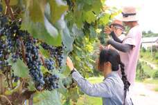 あうたび合同会社のプレスリリース画像1