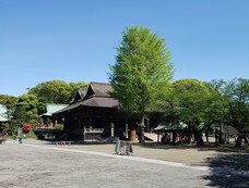 プレジャーリンク株式会社のプレスリリース画像3