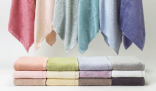 ホットマン株式会社のプレスリリース画像3