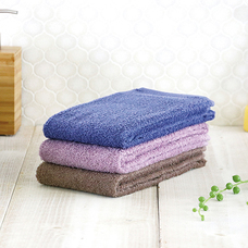 ホットマン株式会社のプレスリリース画像3