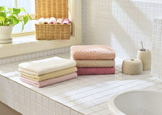 ホットマン株式会社のプレスリリース画像8