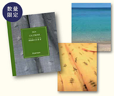 ホットマン株式会社のプレスリリース画像2