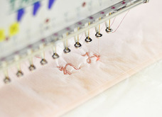 ホットマン株式会社のプレスリリース画像3