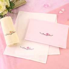 ホットマン株式会社のプレスリリース画像3