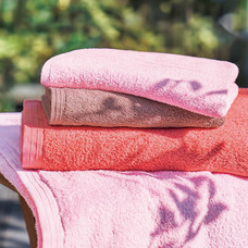 ホットマン株式会社のプレスリリース画像7