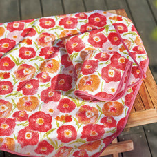 ホットマン株式会社のプレスリリース画像6