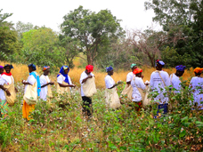 ホットマン株式会社のプレスリリース画像2
