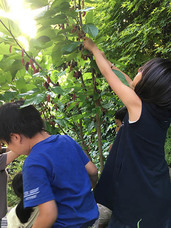 絵画造形アトリエ　アトリエ・アルケミストのプレスリリース画像8