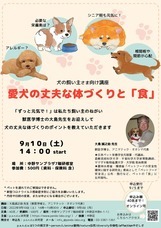 p.a.n.d.a.研究室のプレスリリース画像1