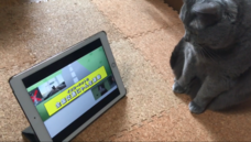 20世紀 フォックス ホームエンターテイメント ジャパン株式会社のプレスリリース画像4