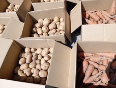 株式会社ナスタのプレスリリース画像3