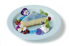 カバーマーク株式会社のプレスリリース画像7