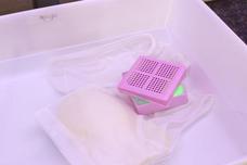 アクトグローウィン株式会社のプレスリリース画像9