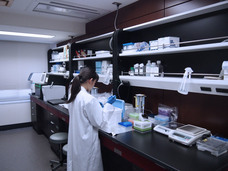 株式会社Rhelixaのプレスリリース画像3