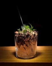 THE SCREENのプレスリリース画像8