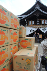 キスケ株式会社のプレスリリース画像8