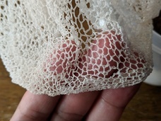 合同会社清流日本のプレスリリース画像2