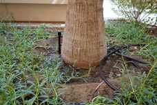 合同会社清流日本のプレスリリース画像2