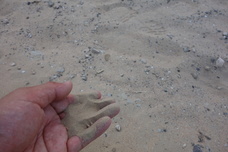 合同会社清流日本のプレスリリース画像4