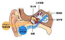 Lumirのプレスリリース画像10