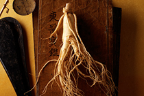 韓国農水産食品流通公社のプレスリリース画像8