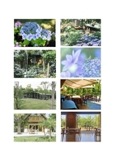 株式会社 キャッスルホテル　ホテル・ロッジ舞洲のプレスリリース画像1